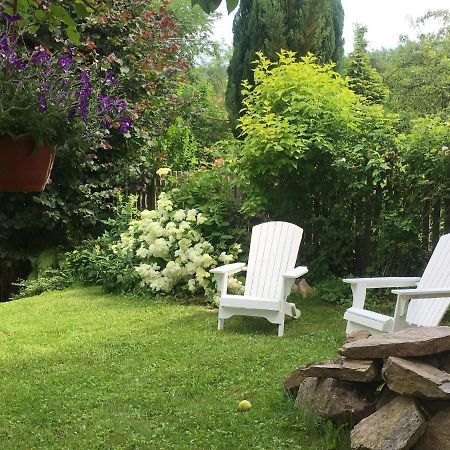 Vila Willa Schmetterling Duszniki Zdrój Exteriér fotografie
